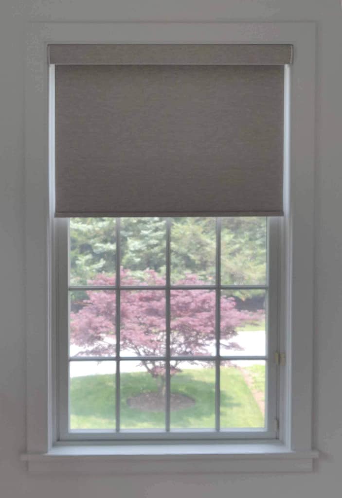 Window with closed blind overlooking purple tree