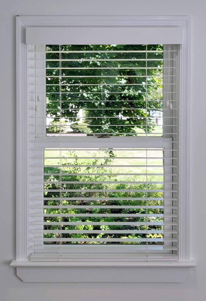 White window blinds with greenery outside view