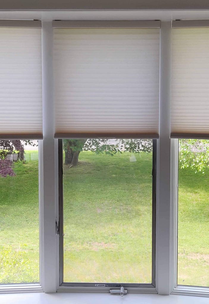 Sunlit window with green garden view outside